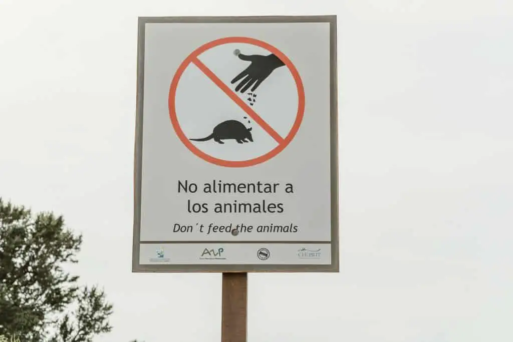 Sign siying don't feed the animals on Peninsula Valdes
