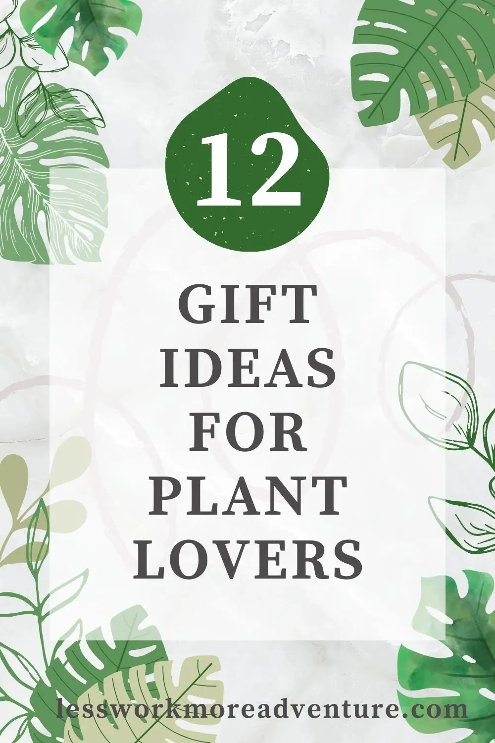 pin graphic with the text gift ideas for plant lovers