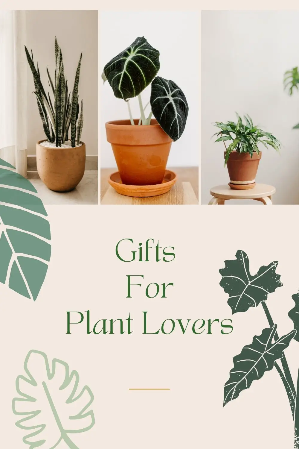 collage with image of plants for a blog post about gifts for plant lovers