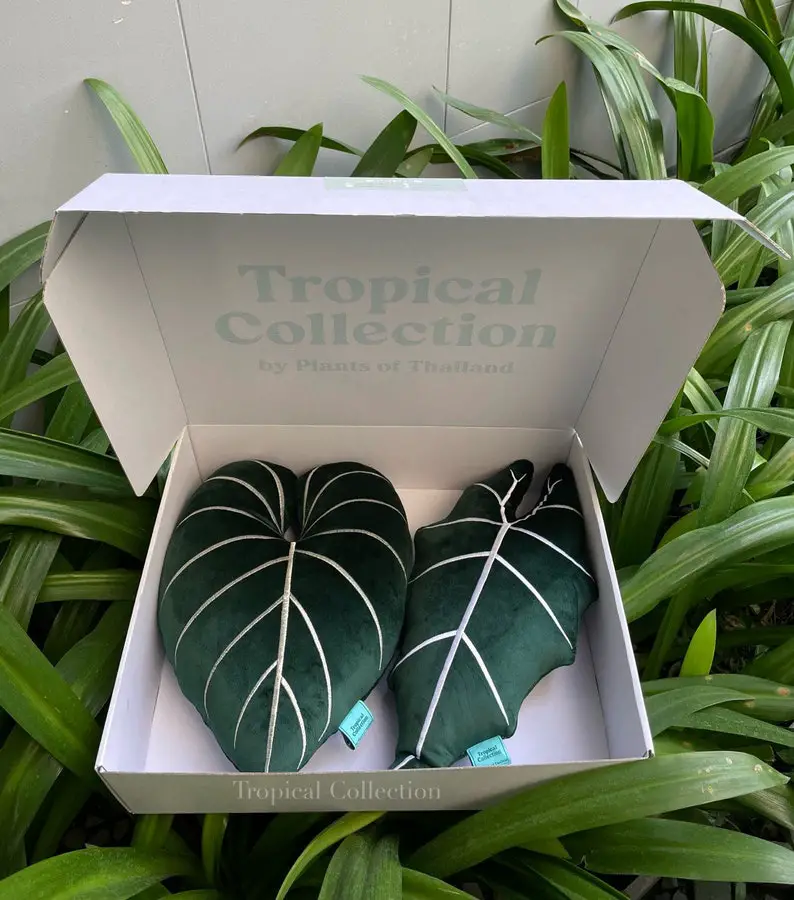 Plant leaf cushions as gifts for plant lovers