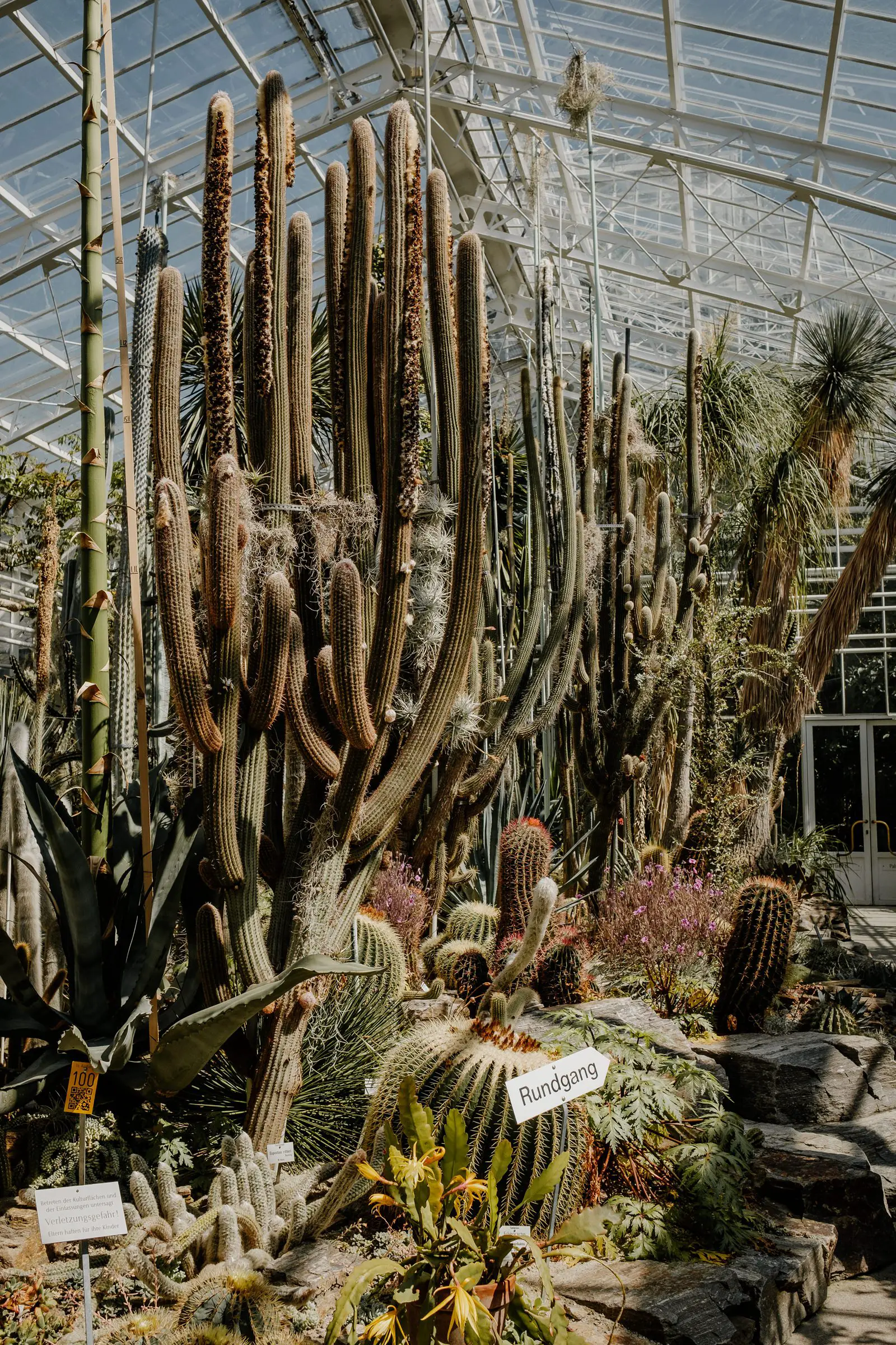 Large cactus house at Munich botanical garden