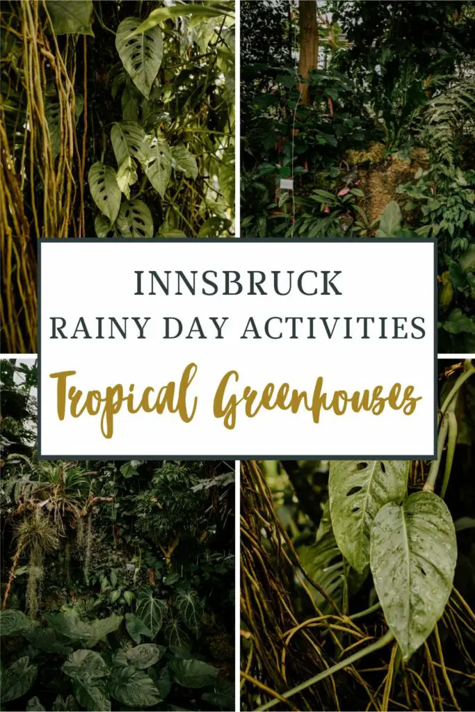 visiting the tropical greenhouses of Innsbruck is a great rainy day activity