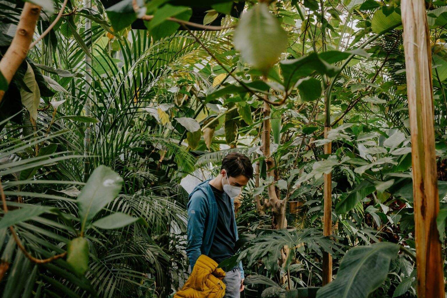 Tropical Greenhouses To Visit In Innsbruck