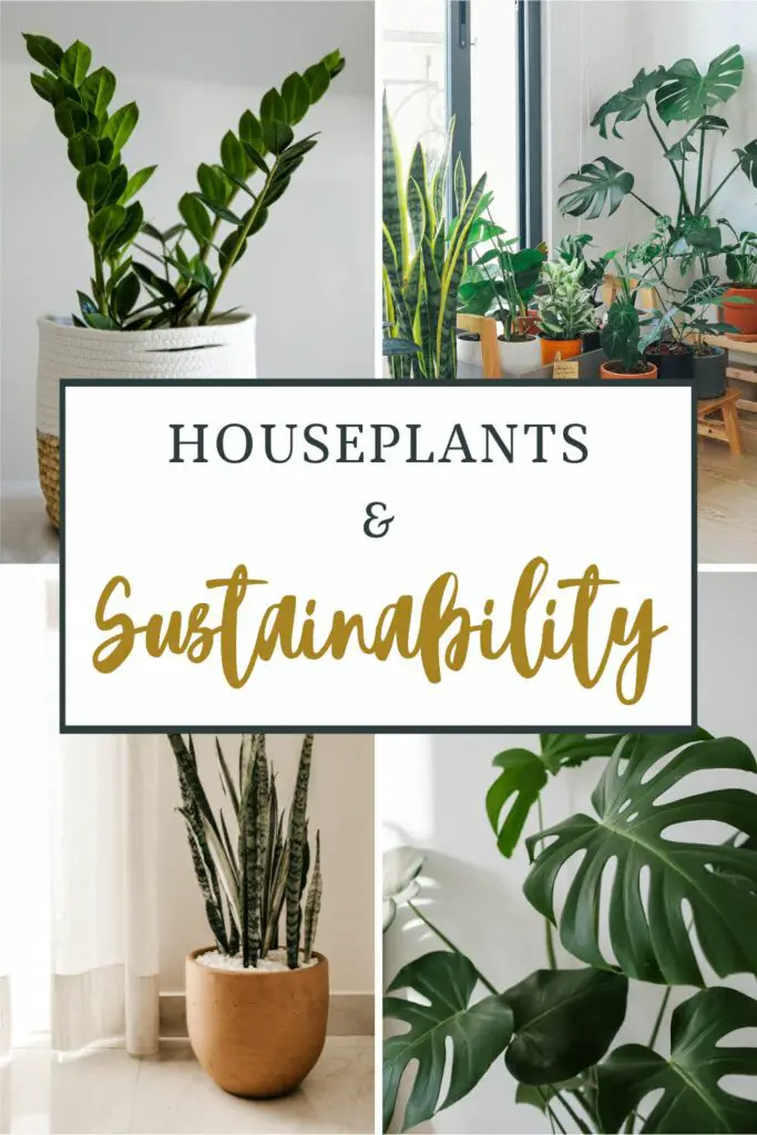 Houseplants & Sustainability