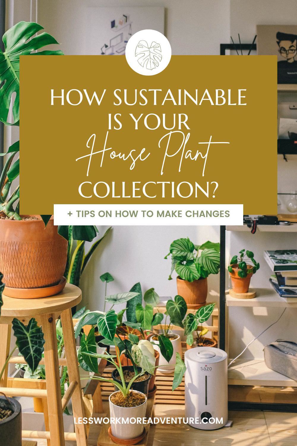 How Sustainable Are Houseplants? Greener Tips & Alternatives