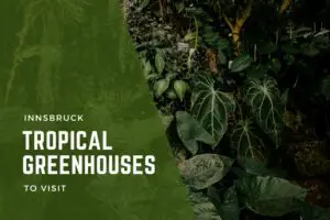 Tropical greenhouses in Innsbruck you can visit