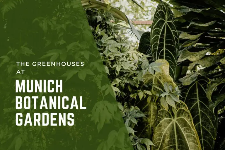 Visiting The Greenhouses of Munich Botanical Gardens