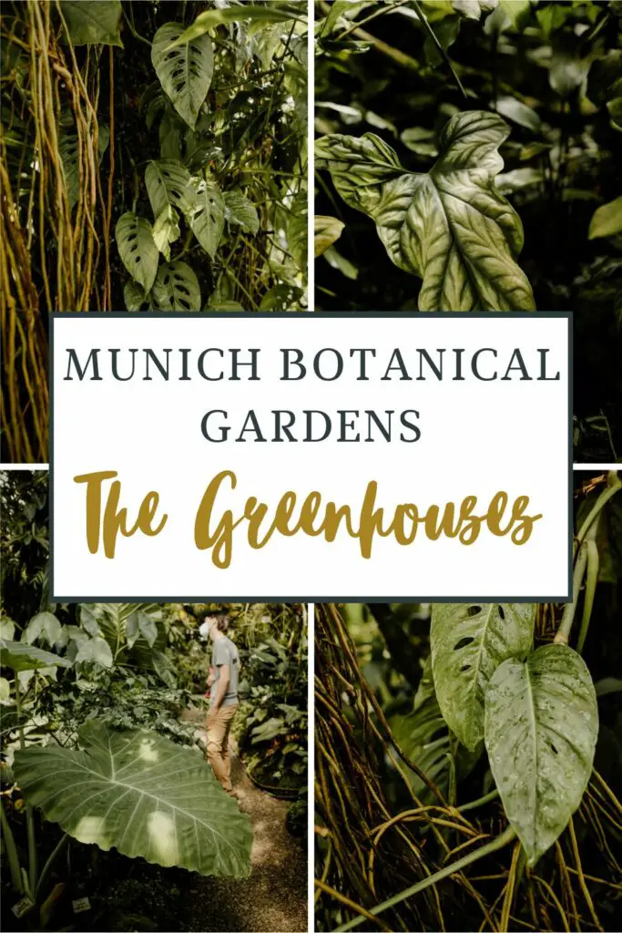 Munich Botanical Gardens - The Greenhouses
